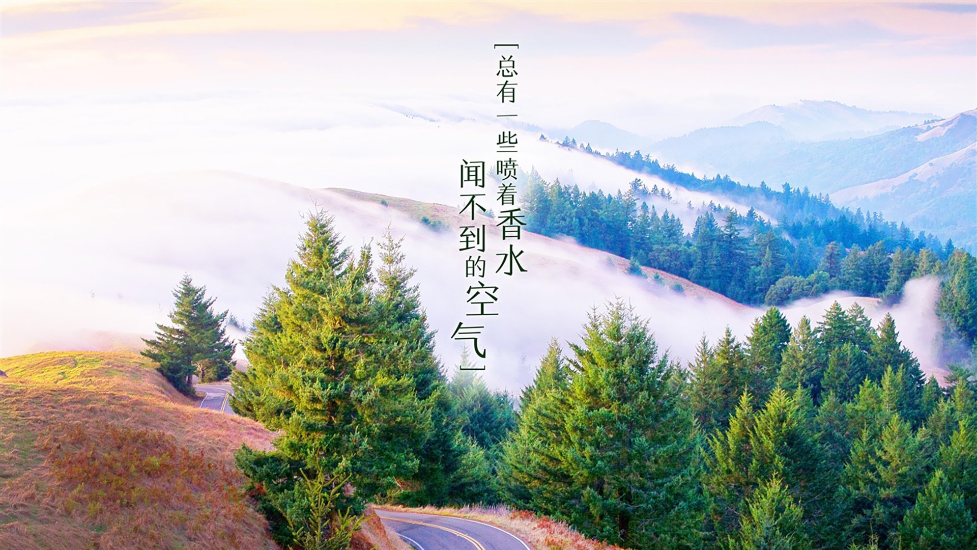 开云电竞平台注册-_创意比赛：结合舞蹈元素的网球表演赛火热上演_，健身网球舞