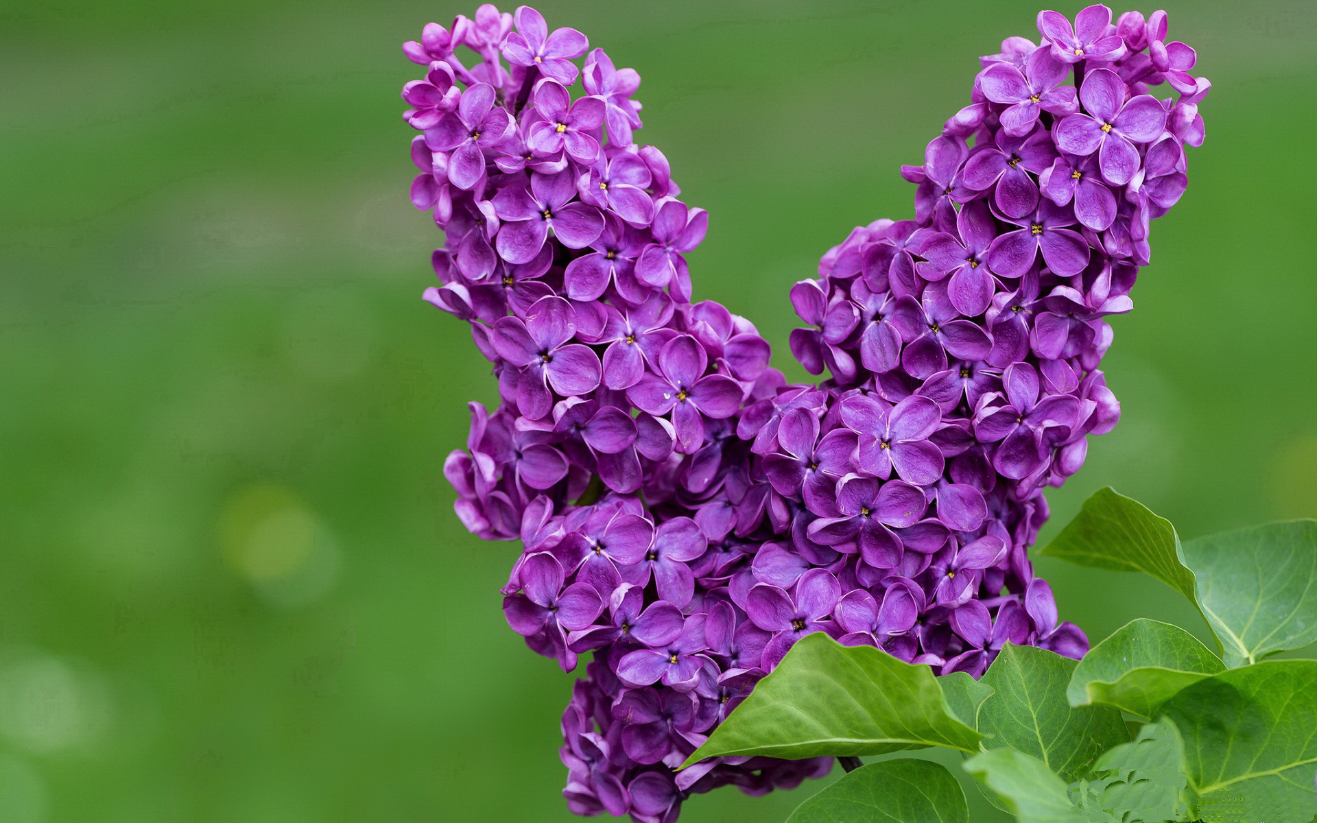 开yun官网-“西甲明星们的精彩表演，场面精彩纷呈”，西甲名人